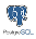 PostgreSQL